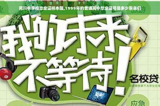 苑川中学校毕业证样本图,1999年的普通高中毕业证号是多少啊亲们