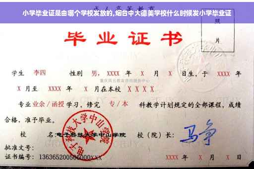 小学毕业证是由哪个学校发放的,烟台中大德美学校什么时候发小学毕业证