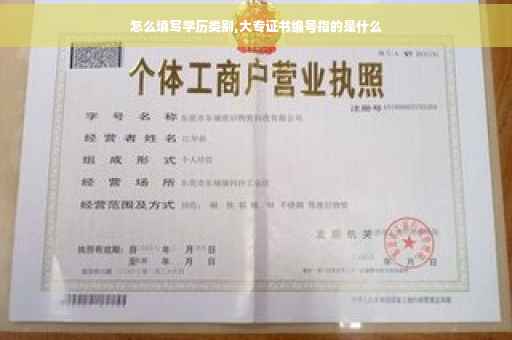 怎么填写学历类别,大专证书编号指的是什么