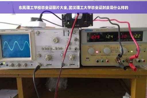东凤理工学校毕业证图片大全,武汉理工大学毕业证封皮是什么样的