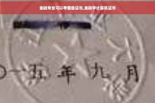 金融专业可以考哪些证书,金融学计算机证书