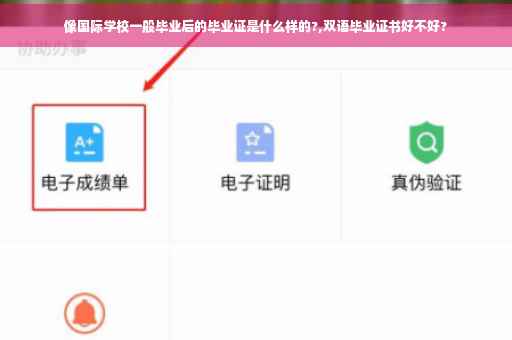 像国际学校一般毕业后的毕业证是什么样的?,双语毕业证书好不好?