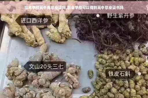 技术学校高中有毕业证吗,职业学校可以得到高中毕业证书吗