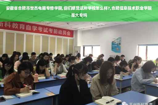 安徽省合肥市世杰电脑专修学院,你们感觉这所学校怎么样?,合肥信息技术职业学院是大专吗