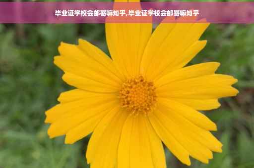 毕业证学校会邮寄嘛知乎,毕业证学校会邮寄嘛知乎