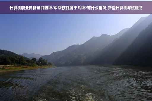 计算机职业资格证书四级/中级技能属于几级?有什么用吗,新疆计算机考试证书