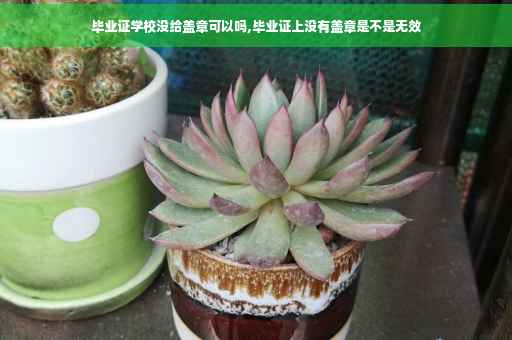 毕业证学校没给盖章可以吗,毕业证上没有盖章是不是无效