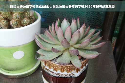 阳泉高等师范学校毕业证图片,阳泉师范高等专科学校2020年报考政策解读