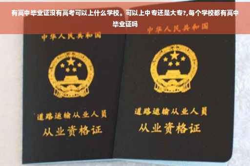 有高中毕业证没有高考可以上什么学校。可以上中专还是大专?,每个学校都有高中毕业证吗