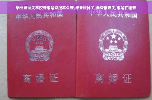 毕业证遗失学校查编号登报怎么查,毕业证掉了,要登报挂失,编号在哪查