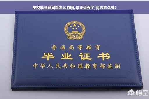 学校毕业证问题怎么办啊,毕业证丢了,我该怎么办?