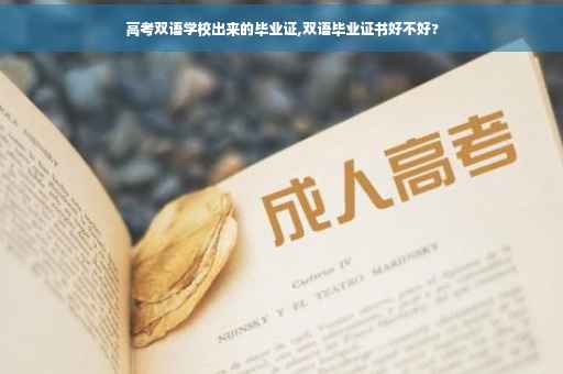 高考双语学校出来的毕业证,双语毕业证书好不好?