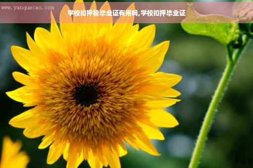 学校扣押我毕业证有用吗,学校扣押毕业证