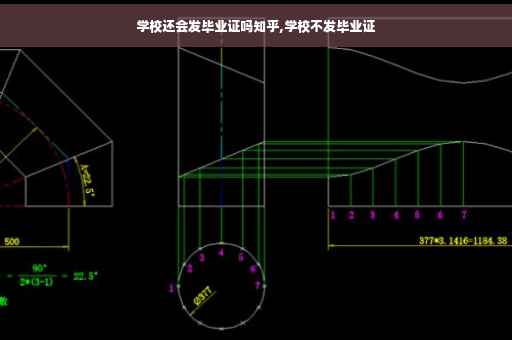 学校还会发毕业证吗知乎,学校不发毕业证