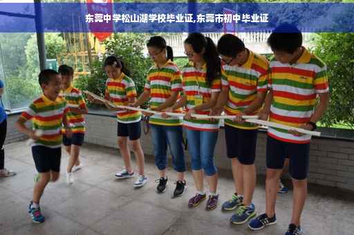 东莞中学松山湖学校毕业证,东莞市初中毕业证