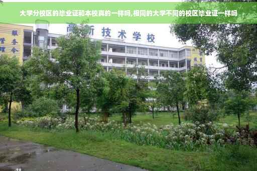 大学分校区的毕业证和本校真的一样吗,相同的大学不同的校区毕业证一样吗