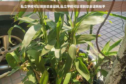 私立学校可以领到毕业证吗,私立学校可以领到毕业证吗知乎