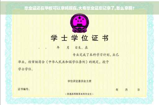 毕业证还在学校可以拿吗现在,大专毕业证忘记拿了,怎么拿啊?