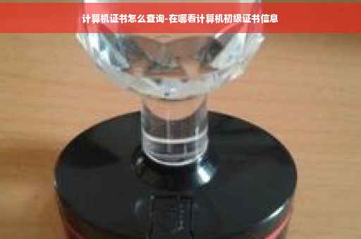 计算机证书怎么查询-在哪看计算机初级证书信息