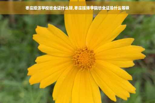 枣庄经济学校毕业证什么呀,枣庄技师学院毕业证是什么等级