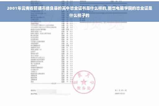 2001年云南省昭通市彝良县的高中毕业证书是什么样的,新华电脑学院的毕业证是什么样子的