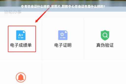 中专毕业证什么样的,求照片,职教中心毕业证书是什么样的?