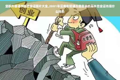 宜都外国语学校毕业证图片大全,2001年云南省昭通市彝良县的高中毕业证书是什么样的