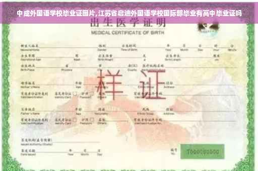 中成外国语学校毕业证图片,江苏省启迪外国语学校国际部毕业有高中毕业证吗