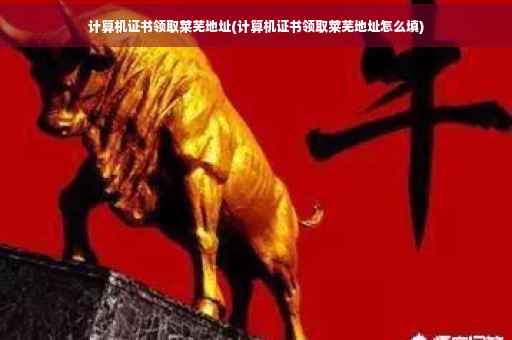 计算机证书领取莱芜地址(计算机证书领取莱芜地址怎么填)