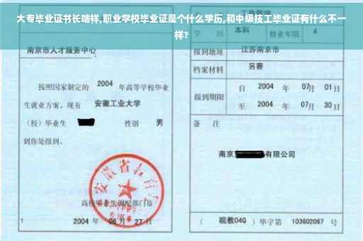 大专毕业证书长啥样,职业学校毕业证是个什么学历,和中级技工毕业证有什么不一样?