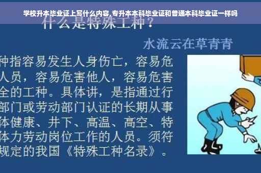 学校升本毕业证上写什么内容,专升本本科毕业证和普通本科毕业证一样吗