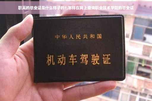职高的毕业证是什么样子的?,怎样在网上查询职业技术学院的毕业证