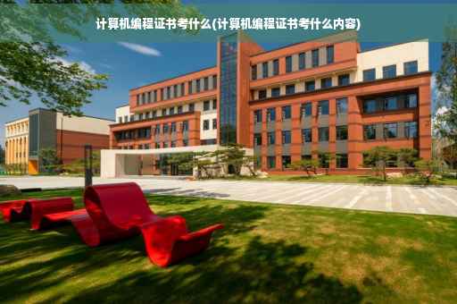 计算机编程证书考什么(计算机编程证书考什么内容)
