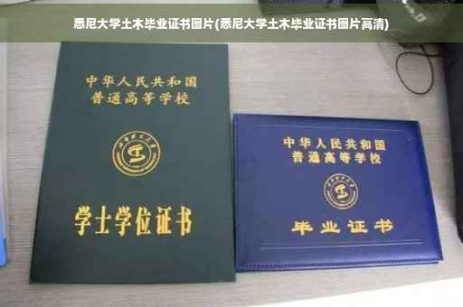 悉尼大学土木毕业证书图片(悉尼大学土木毕业证书图片高清)