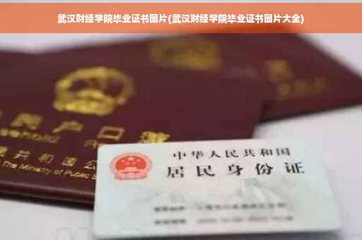 武汉财经学院毕业证书图片(武汉财经学院毕业证书图片大全) 武汉财经学院毕业证书图片(武汉财经学院毕业证书图片大全)