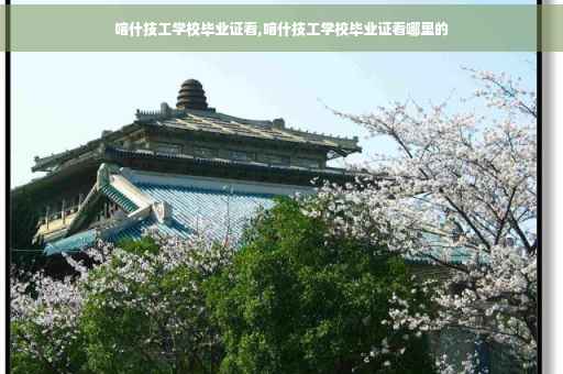 喀什技工学校毕业证看,喀什技工学校毕业证看哪里的
