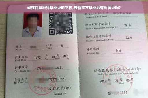 现在能拿厨师毕业证的学校,去新东方毕业后有厨师证吗?