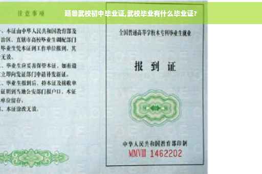 延鲁武校初中毕业证,武校毕业有什么毕业证?
