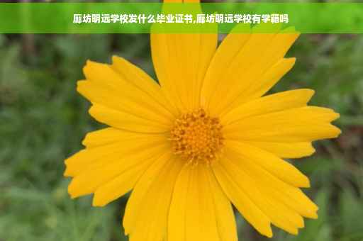 廊坊明远学校发什么毕业证书,廊坊明远学校有学籍吗