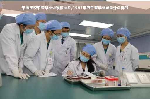 中医学校中专毕业证模板图片,1997年的中专毕业证是什么样的