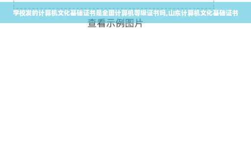 学校发的计算机文化基础证书是全国计算机等级证书吗,山东计算机文化基础证书