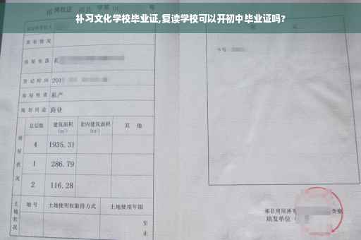 补习文化学校毕业证,复读学校可以开初中毕业证吗?
