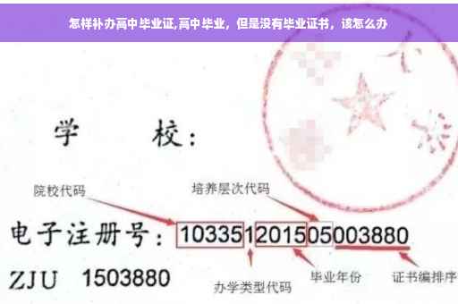 怎样补办高中毕业证,高中毕业，但是没有毕业证书，该怎么办