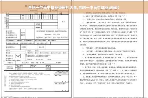 合肥一中高中毕业证图片大全,合肥一中高中毕业证图片