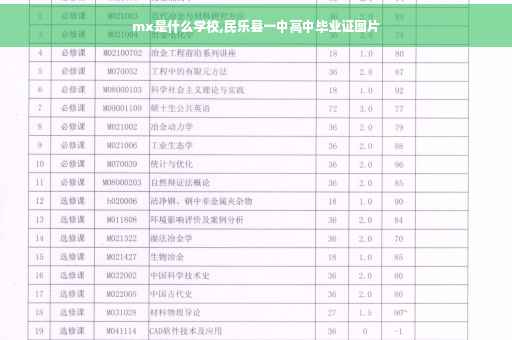 mx是什么学校,民乐县一中高中毕业证图片