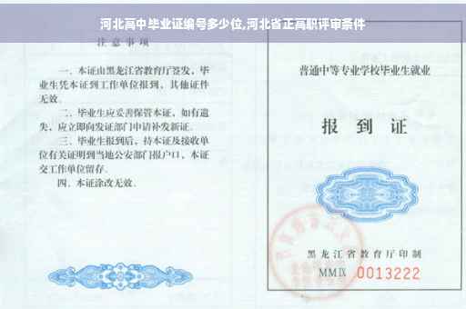 河北高中毕业证编号多少位,河北省正高职评审条件