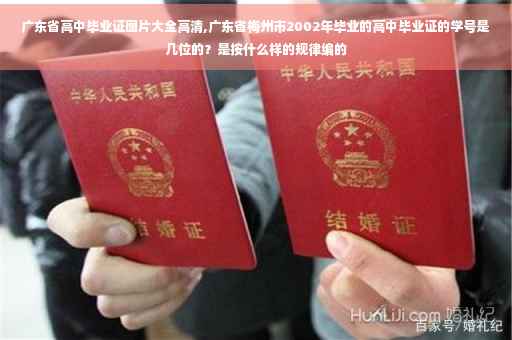 广东省高中毕业证图片大全高清,广东省梅州市2002年毕业的高中毕业证的学号是几位的？是按什么样的规律编的