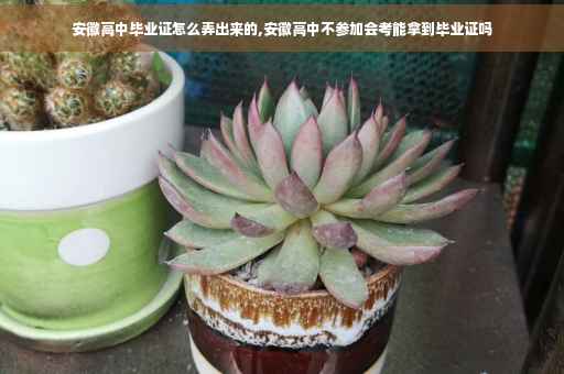 安徽高中毕业证怎么弄出来的,安徽高中不参加会考能拿到毕业证吗