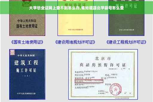 大学毕业证网上查不到怎么办,谁知道湖北学籍号怎么查