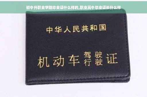 初中升职业学院毕业证什么样的,职业高中毕业证长什么样